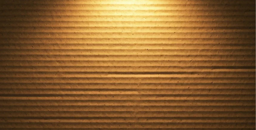 Navigating the Labyrinth: A Deep Dive into the EU’s New Packaging Guidance